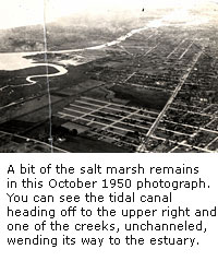 1950 Photo of Estuary