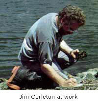 Photograph of Jim Carleton