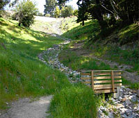 Cinderella Creek Restoration Photo